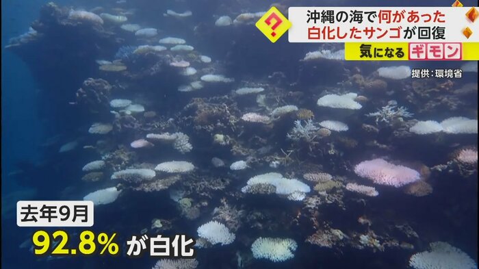 (画像:環境省より)