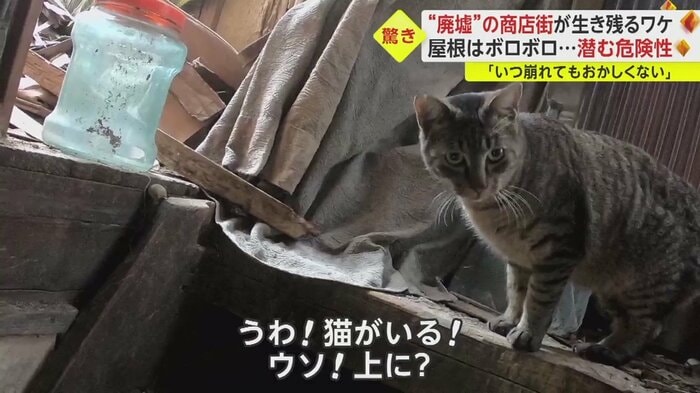2階に続く階段に小型カメラを伸ばしてみると…