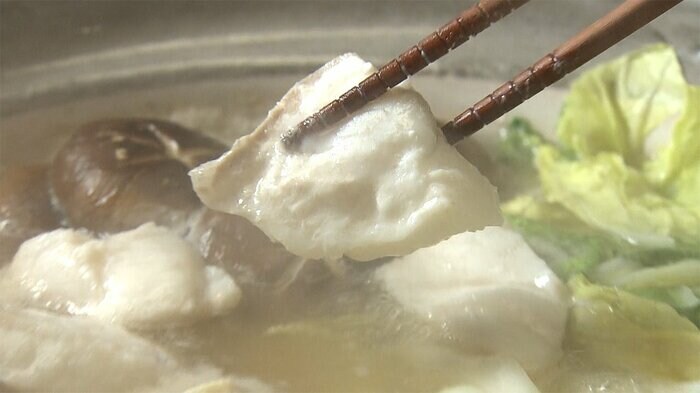 高級魚「クエ」が味わえる鍋