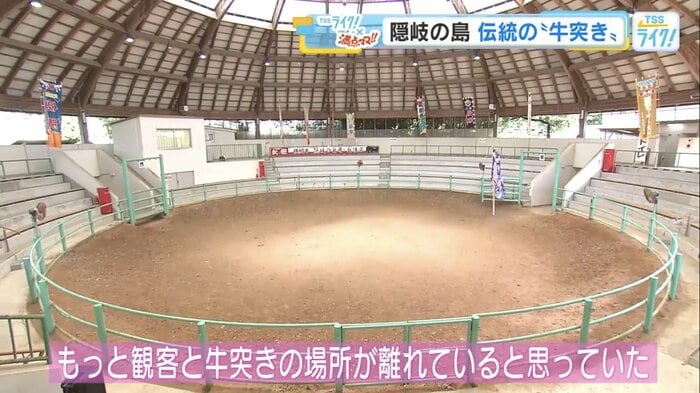 施設内には観客席と大きな土俵