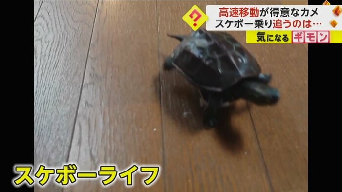 (撮影:アメチカンのもなさん)