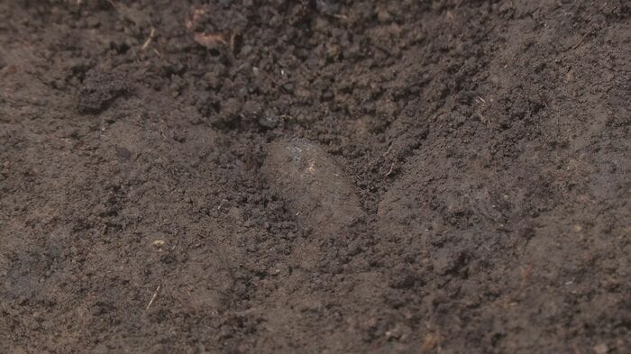 土の中から銃弾が