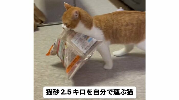 楽しさと達成感がある?