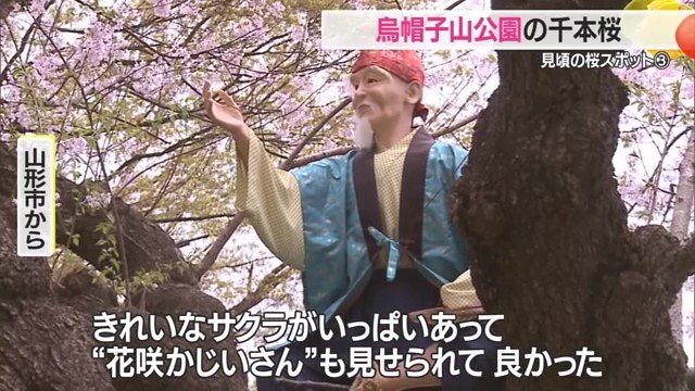 花咲かじいさんが飾られているエドヒガンは子どもたちをおとぎの世界に誘ってくれる