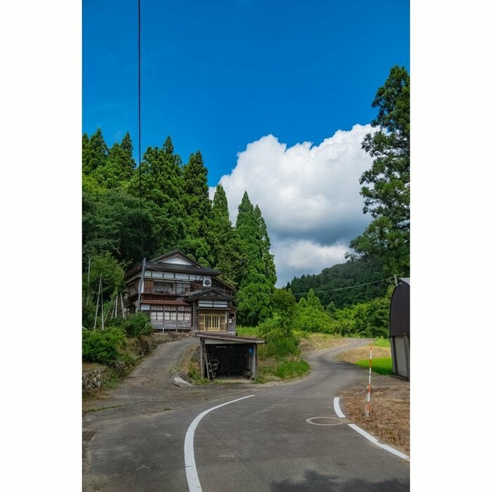 2025年8月撮影