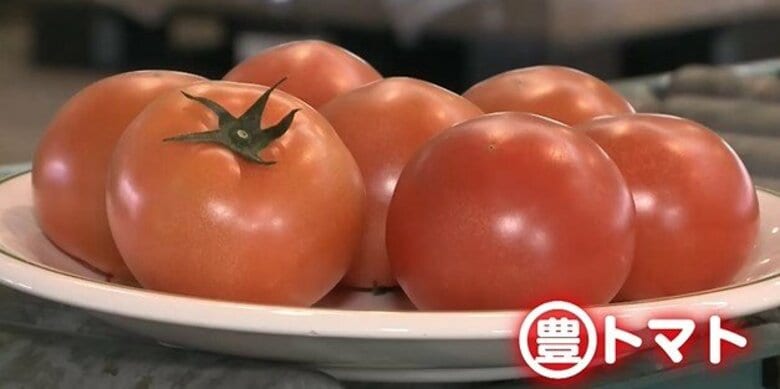 神石高原町でトマトの出荷が始まる　広島県内一のトマトの生産量「おいしいトマトに出来上がっている」｜FNNプライムオンライン