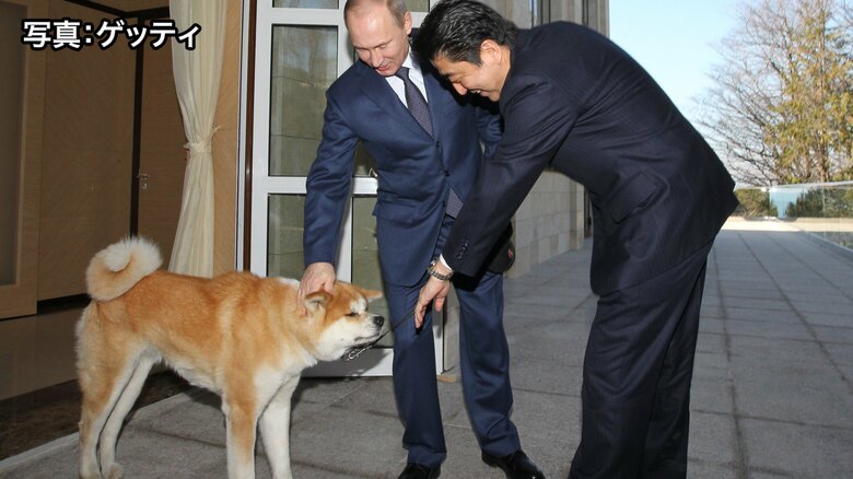 ロシアプーチン大統領に贈られた秋田犬「ゆめ」死ぬ　東日本大震災後に秋田県から贈呈｜FNNプライムオンライン