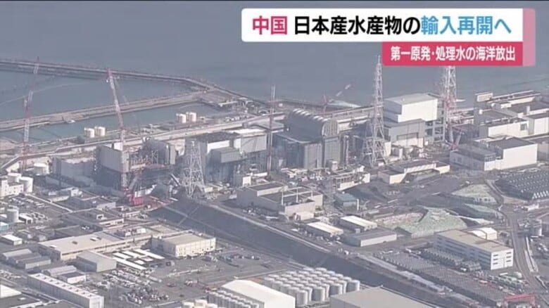 日本産水産物の輸入再開に向けた手続きで中国と合意　対中輸出再開へ　処理水放出による賠償は720億円｜FNNプライムオンライン