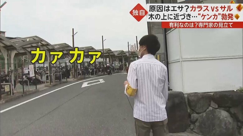 取材班が現場を訪れると…