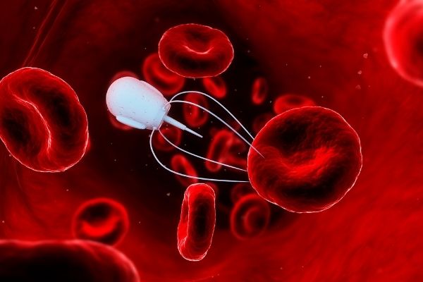 ナノロボティクス市場は2027年まで10.97%のCAGRで成長すると予想されます