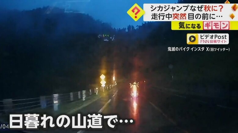 ドライブレコーダーの映像。日暮れの山道を走るバイク