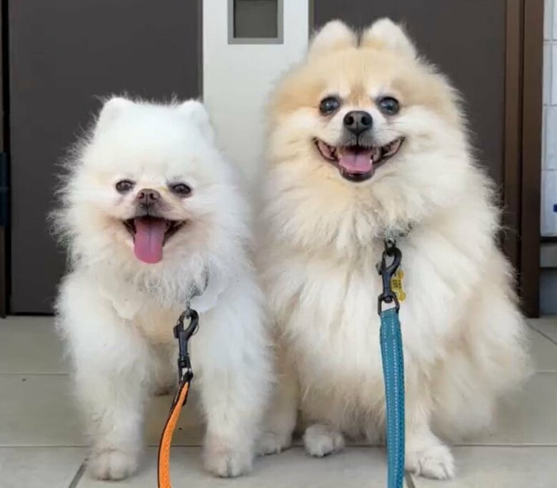 親子と間違われることもあるそう