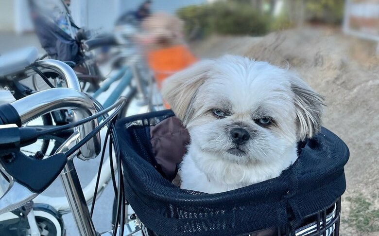 お出かけに不満？