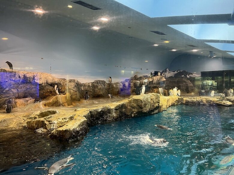 亜南極ペンギン室（提供：長崎ペンギン水族館）