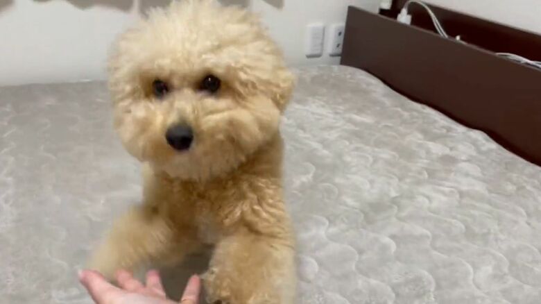 ダイナミックに決まった！