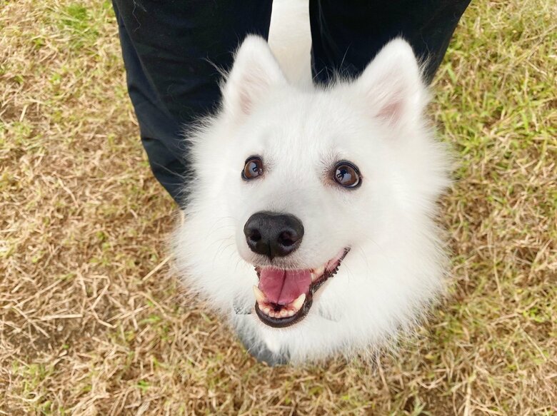 提供：ぽぽさん