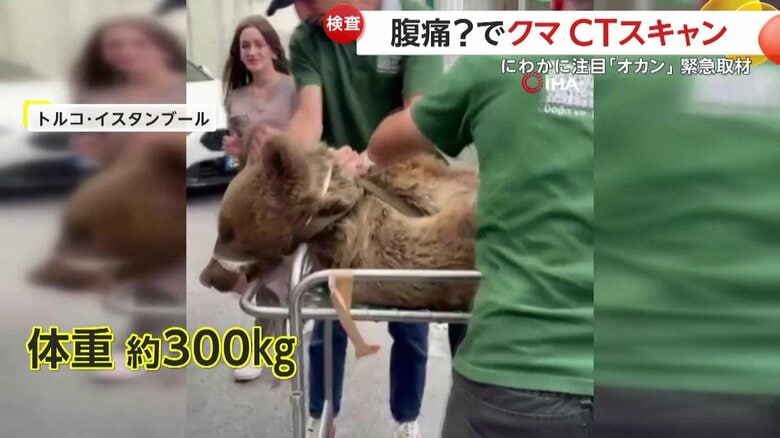 5人がかりで担架に移された体重約300kgのオカン
