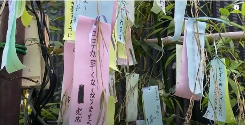 中止になった湘南ひらつか七夕まつり