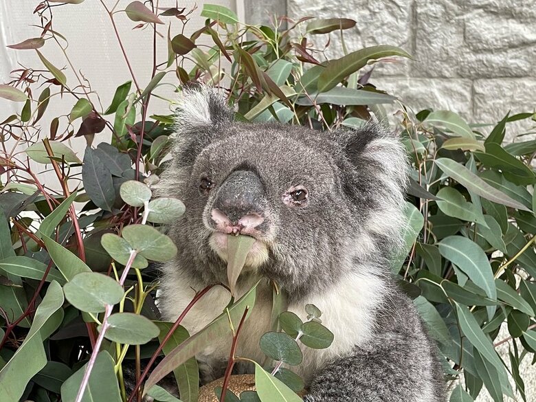 食事中（提供：イングランドの丘）
