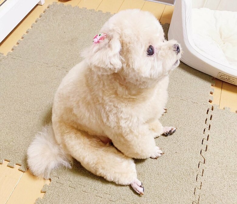 ご飯のことを考え中