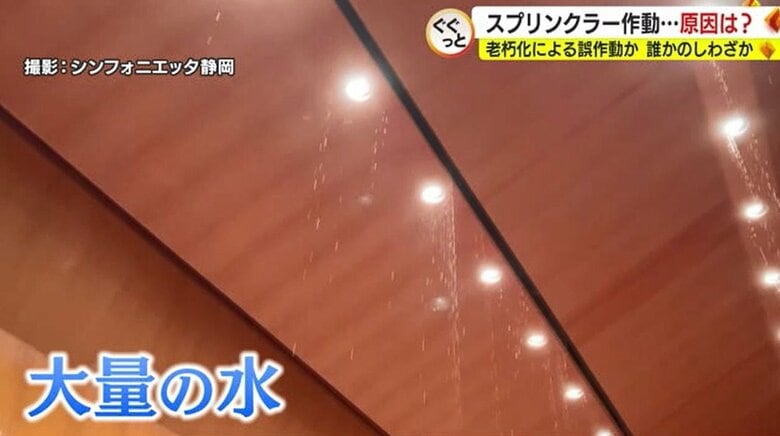 （シンフォニエッタ静岡撮影）