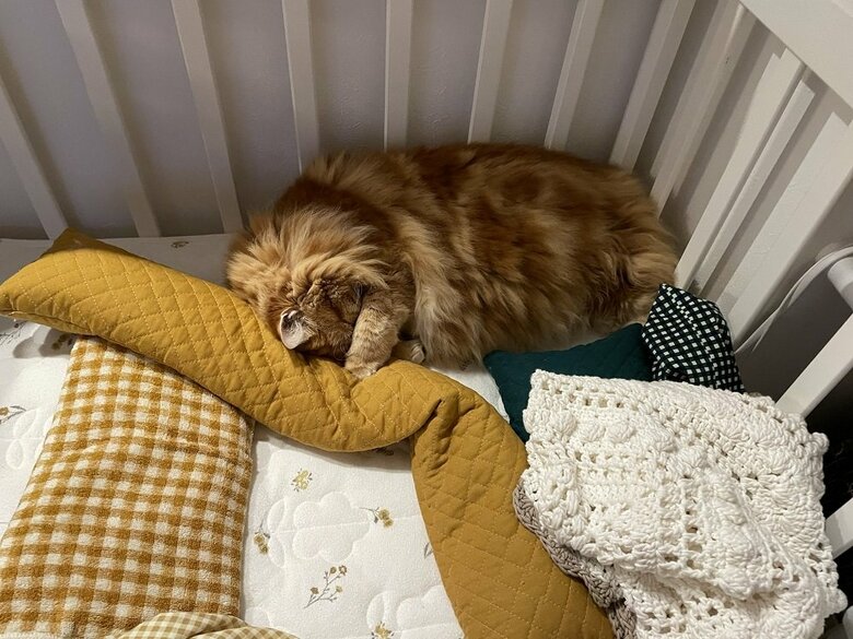 娘さんが起きてもベビーベッド内でぐっすり