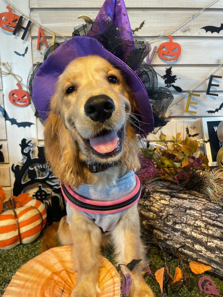 提供：関口和也さん