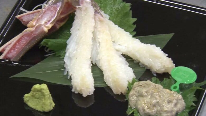 間人ガニの刺し身