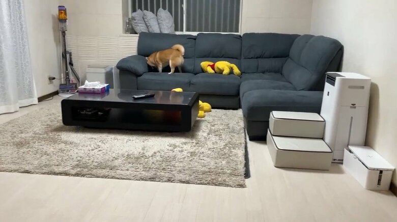 遊びの誘い方が独特すぎる…（提供：うにandおからさん）