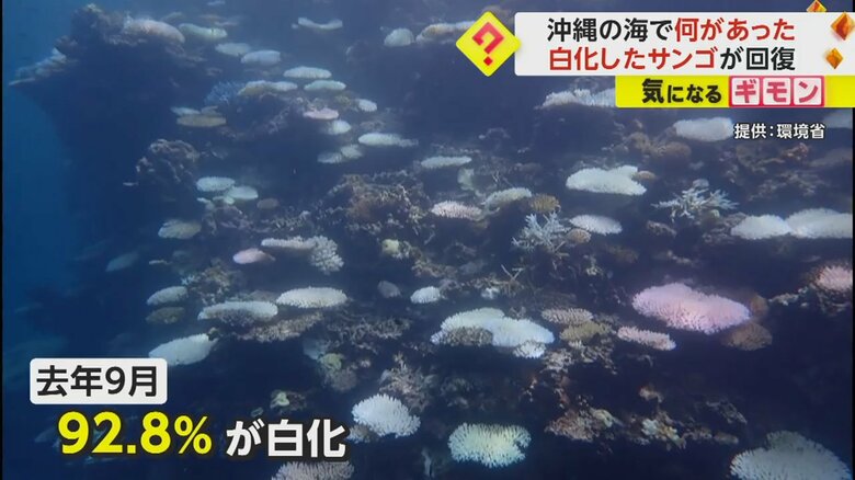 （画像：環境省より）