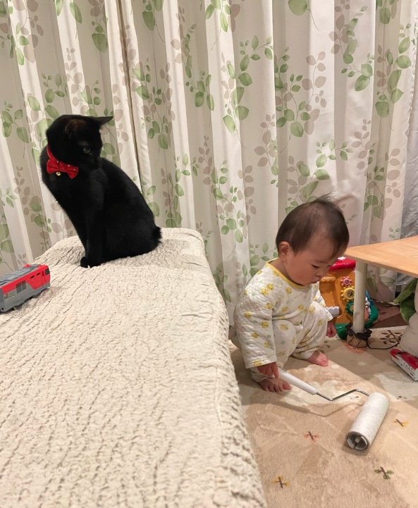 提供：ゴンゾウR4さん