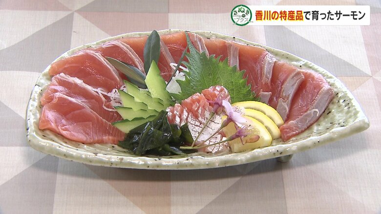 刺し身で食べるのがおすすめ オリーブサーモン