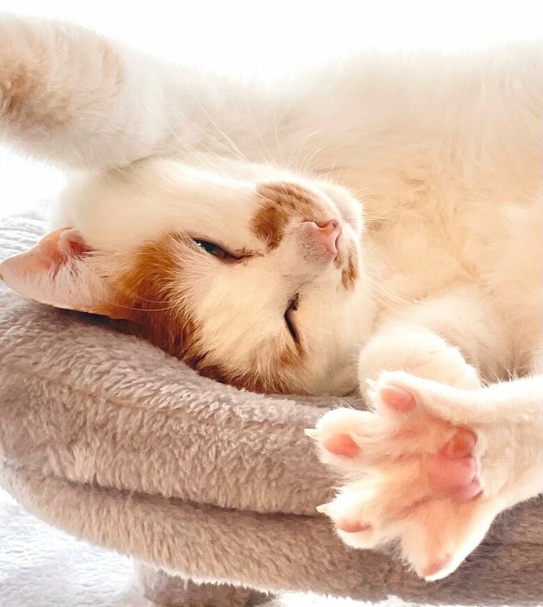 20秒以上反応していたという