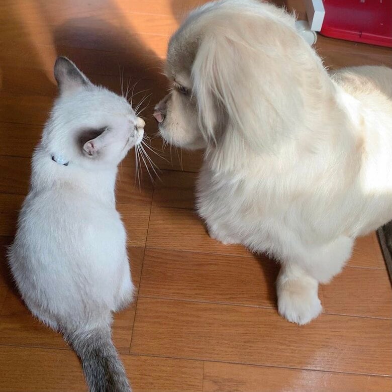 成長とともに打ち解けてきた