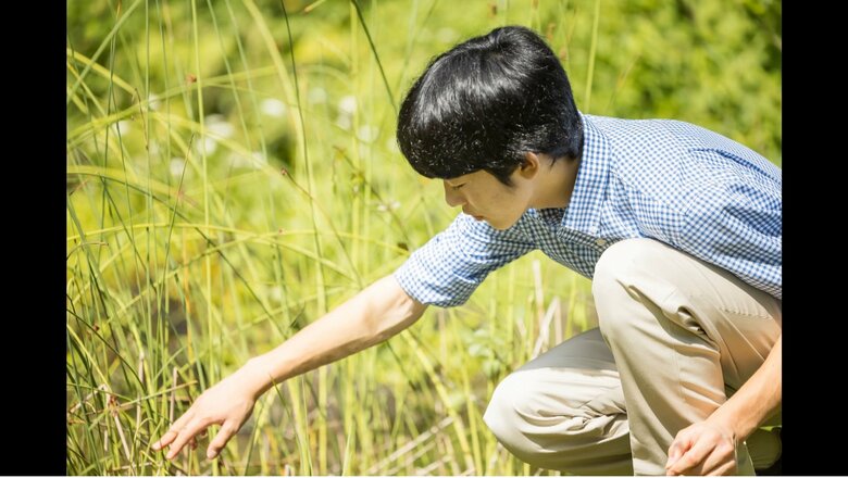 秋篠宮邸庭にて　写真提供　宮内庁