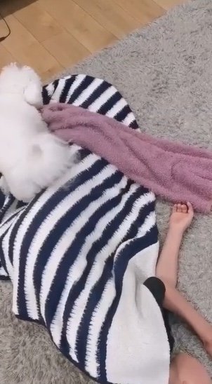 提供：エマ emmaさん