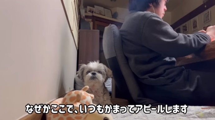 自主的に挟まるてんぽくん