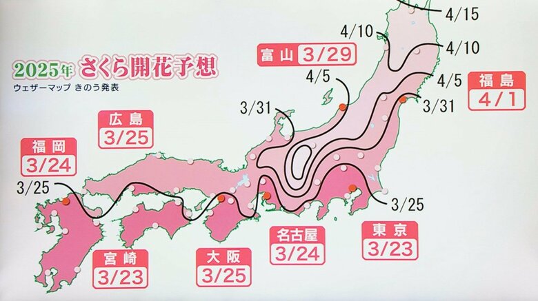 桜の開花まであと数日