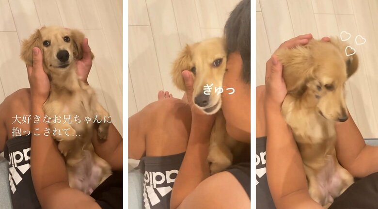 お兄ちゃんに抱っこされて照れるこいろちゃん（提供：___0516.wanさん）