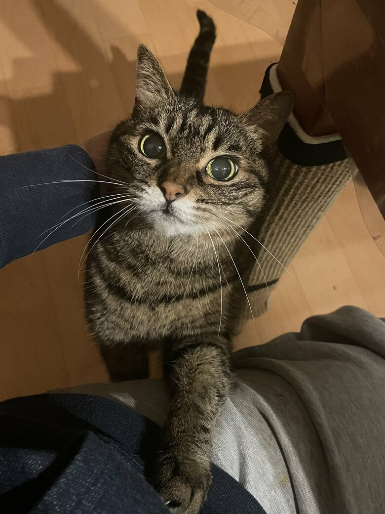 提供：えーさん