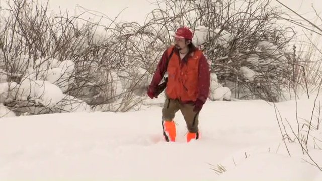 料理人・平山真吾