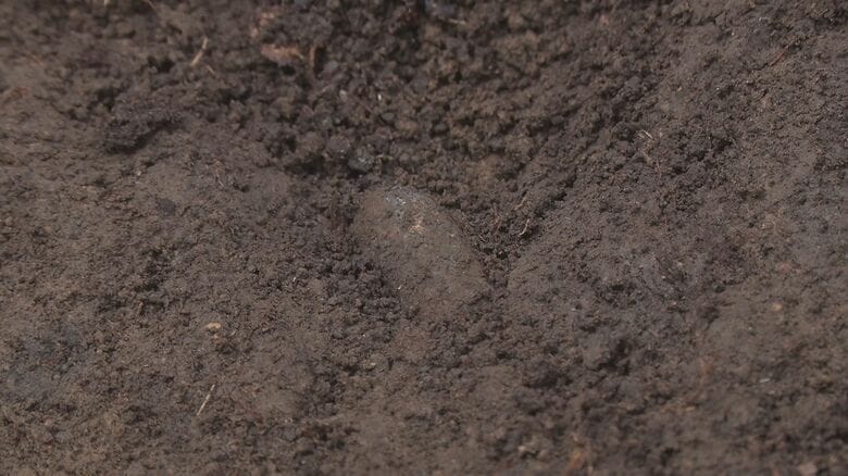 土の中から銃弾が