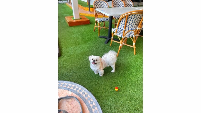 提供：LOVEYOUさん