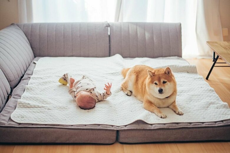おとなしく寝てる？とチラ見