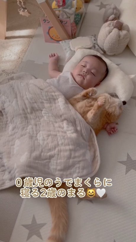 提供：ひなまる色さん