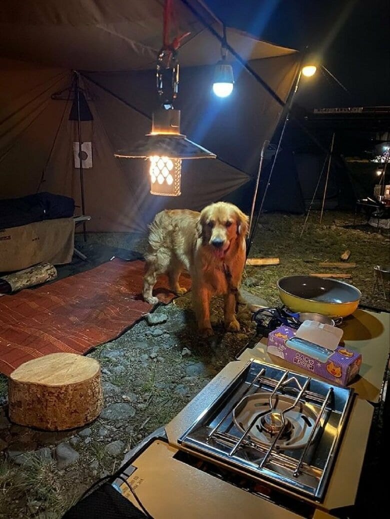 2022年のGWもキャンプへ