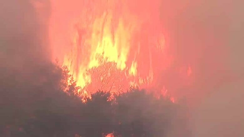 延焼続く岩手・大槌町の山林火災（4月23日夜）