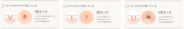 へその形「V型」「I型」「U型」（提供：花王）