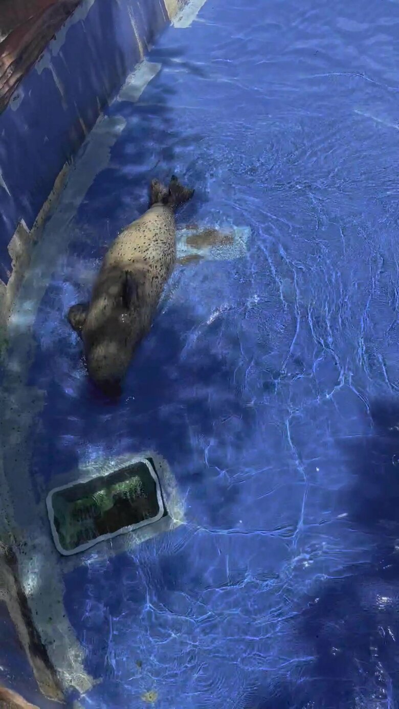 （提供：名古屋市東山動植物園）