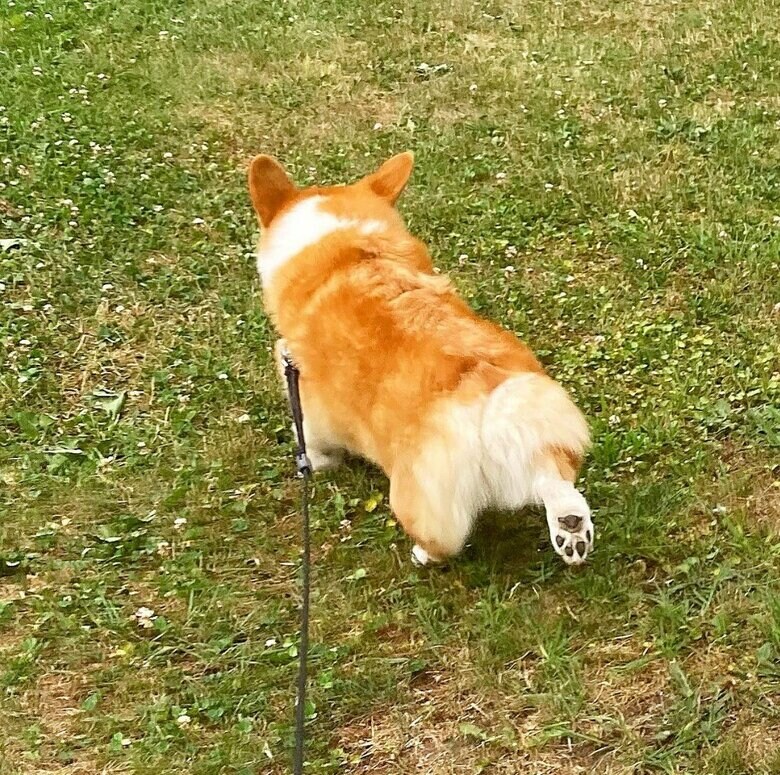 提供：むぎん家＠きよらさん